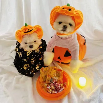 Armas Lemmikloom Müts Halloween Pumpkin Lemmikloom-Koer, Kass Müts, Kleit Up Headdress Väike Koer, Kass Cosplay Kostüüm Dekoratiivsed Müts Lemmikloom, Aksessuaarid