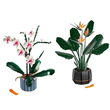 Uus 2022 Orhidee Succulents Lille Kimp 10311 10289 Hoone Plokid, Tellised City Romantiline Komplekt Sõbrad DIY Mänguasjad Tüdrukute Kingitus