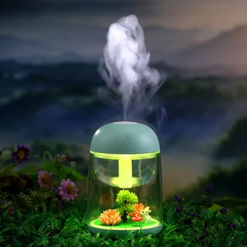 Mini Kaasaskantav Udu Niisutaja Läbipaistev Mikro-maastiku Õhu Niisutaja Spray Õhu Puhastaja Hajuti koos LED-Tuled Koju 2