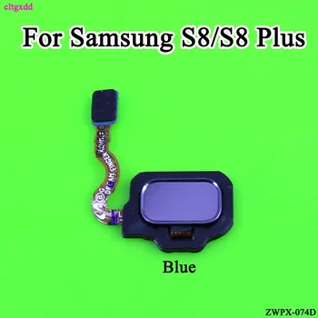 cltgxdd Sõrmejälje tuvastus Skanneri Sensor Tagasi-Nupp Liides Flex Kaabel Samsung Galaxy S8 S8+ G950 G955 4